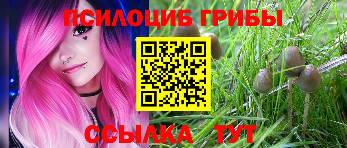 Псилоцибиновые грибы мухоморы  Галлюциногенные грибы мухоморы  Вход с VPN  Пыть-Ях 