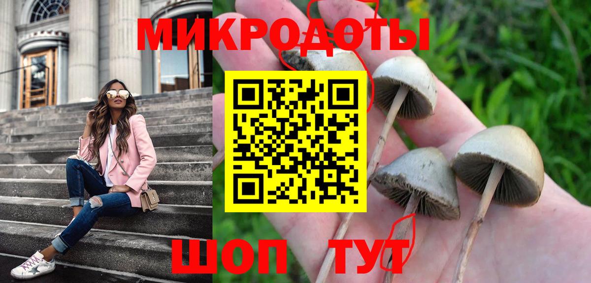 Псилоцибиновые грибы Cubensis Пыть-Ях